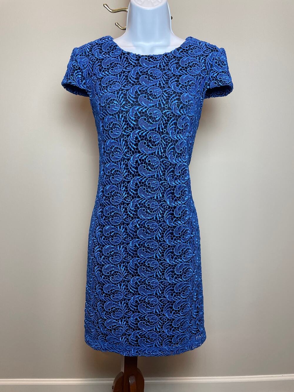 Pim + Larkin Dress Size M Royal Blue Scroll Lace Shift Lined Cap Sleeve
